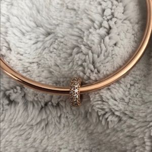 Pandora Rose Spacer Charm